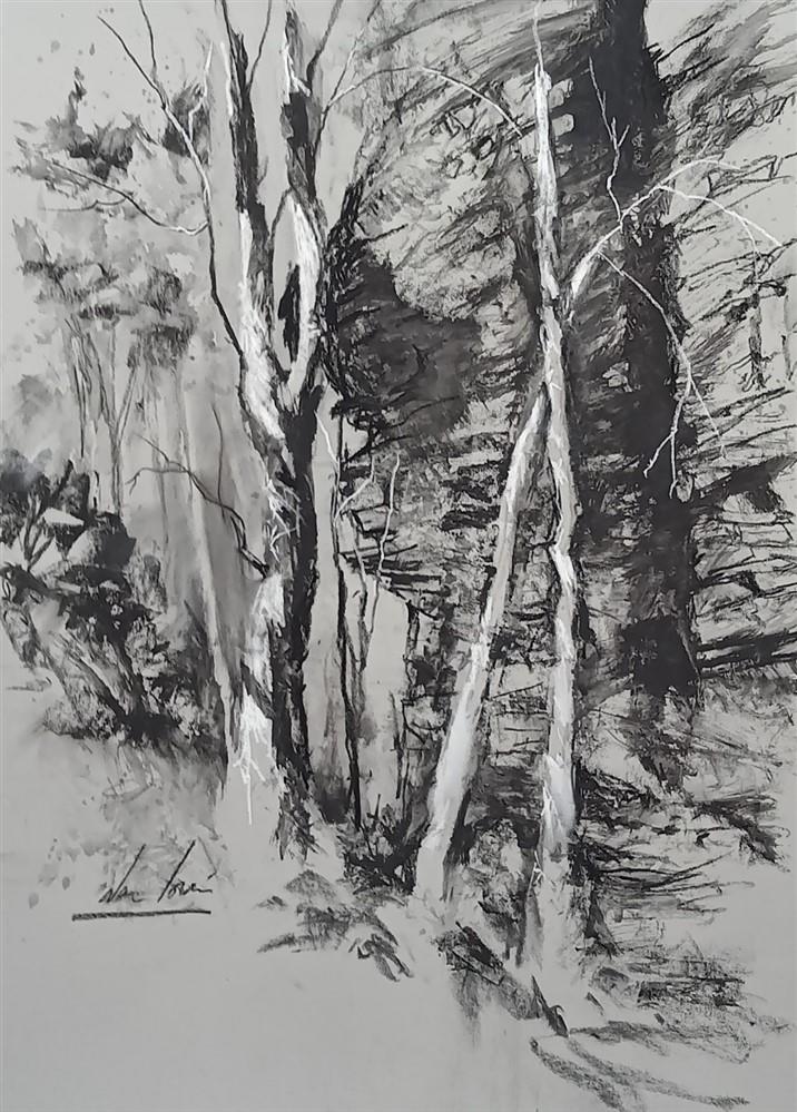 WORKSHOP WITH ALAN RAMACHANDRAN - LANDSCAPE IN BLACK AND WHITE CHARCOAL